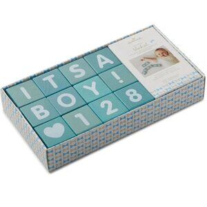NIB Wooden Block Set Blue Pregnancy Announcement Milestone Photos